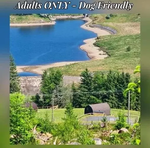 Forester\'S Retreat Glamping - Dinas View