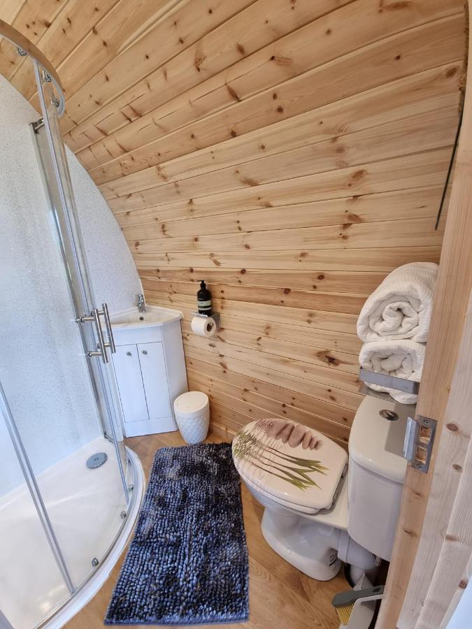 Forester's Retreat Glamping - Dinas View Campsite *