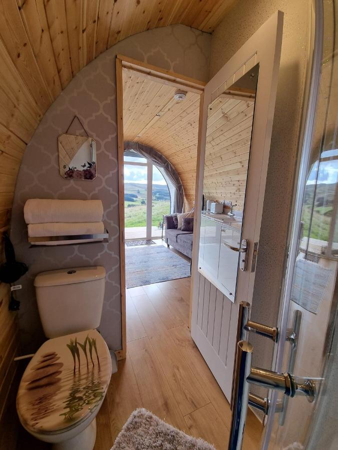 Forester's Retreat Glamping - Dinas View Campsite Aberystwyth