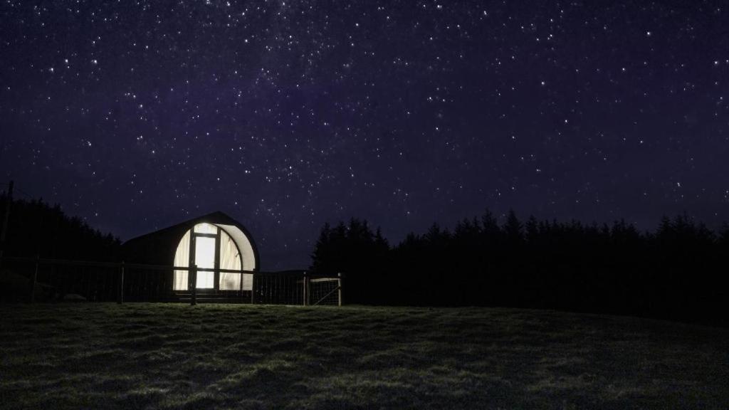 Forester's Retreat Glamping - Dinas View * Aberystwyth