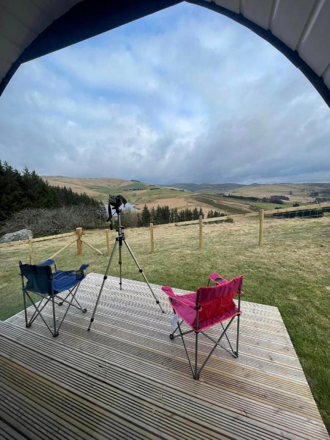 Forester's Retreat Glamping - Dinas View Campsite Aberystwyth