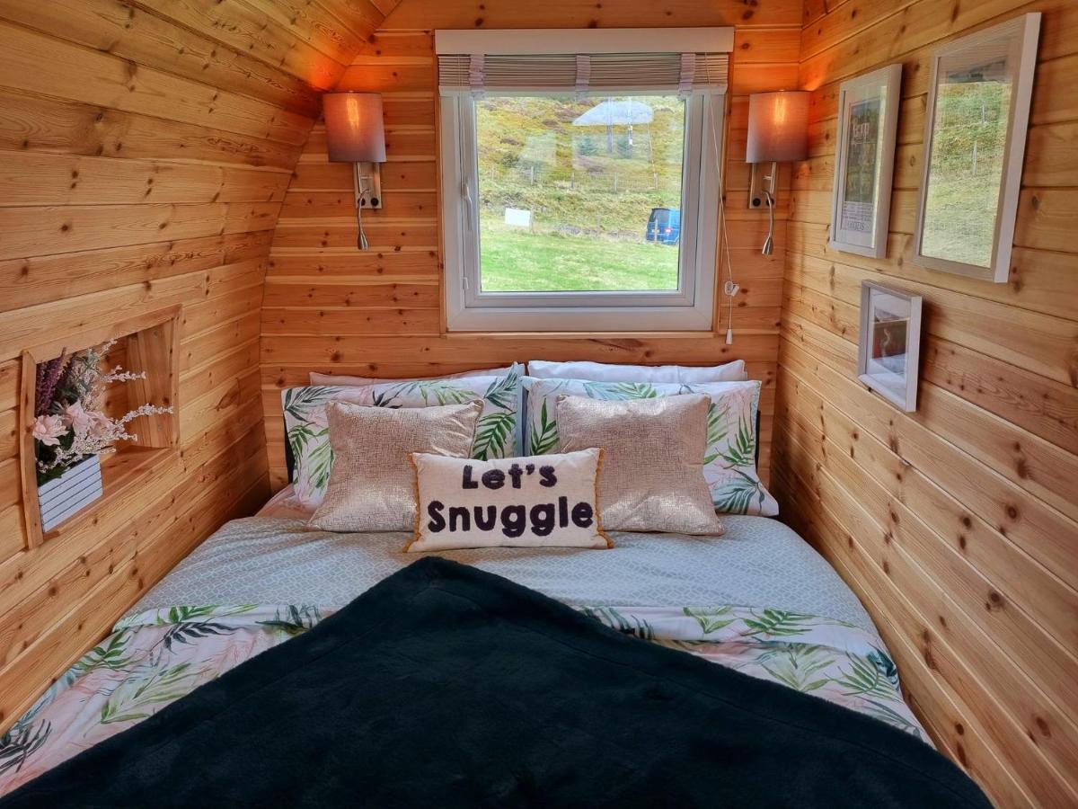 Forester's Retreat Glamping - Dinas View Aberystwyth