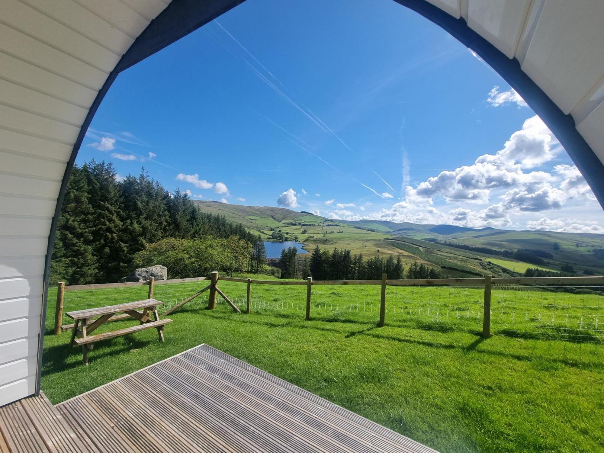 Forester's Retreat Glamping - Dinas View Campsite Aberystwyth