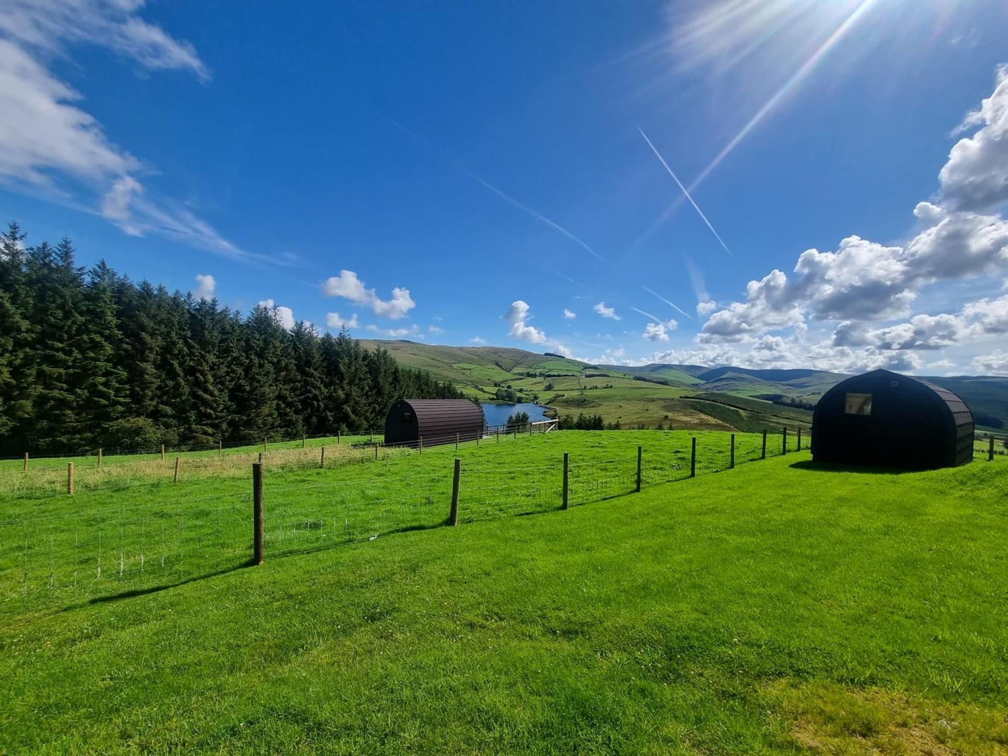 Forester's Retreat Glamping - Dinas View Campsite Aberystwyth