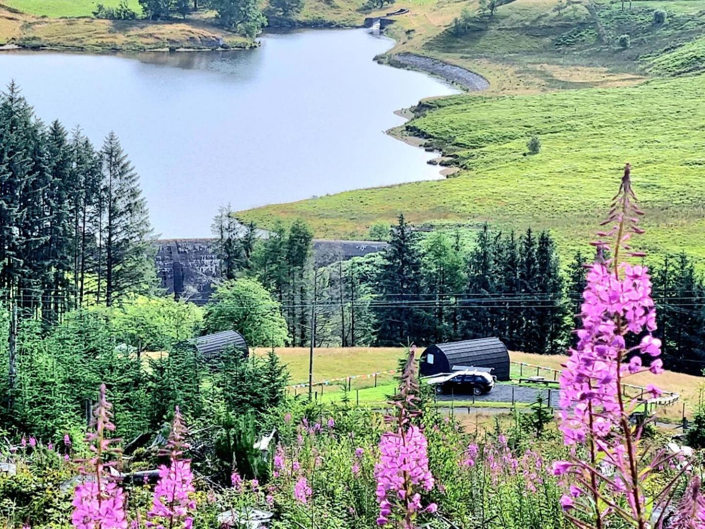 Campsite Forester's Retreat Glamping - Dinas View