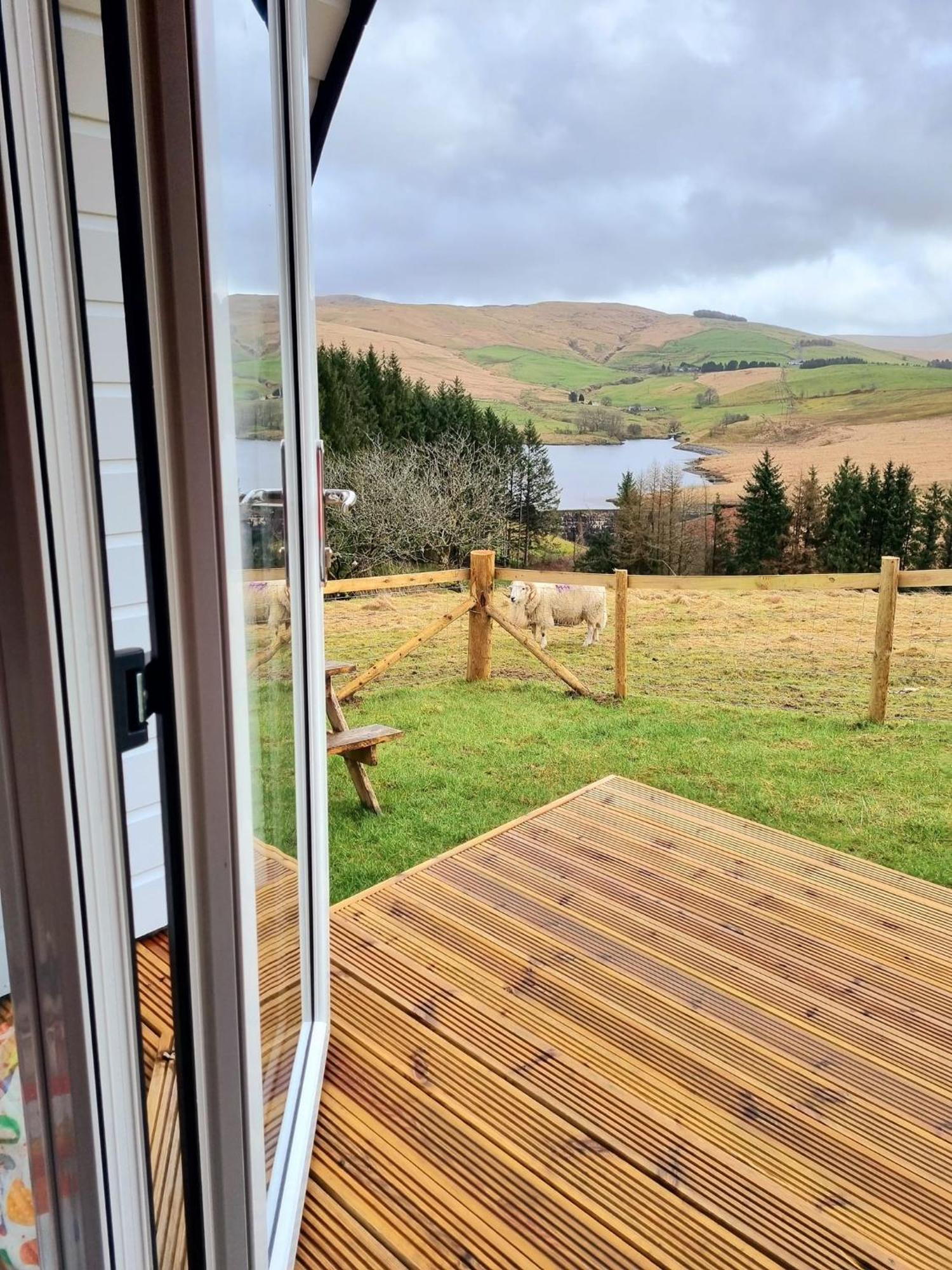 Campsite Forester's Retreat Glamping - Dinas View